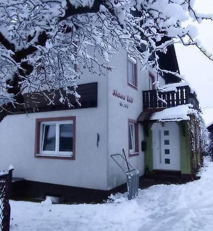 Haus Elli Apartment Greifenburg Exterior photo